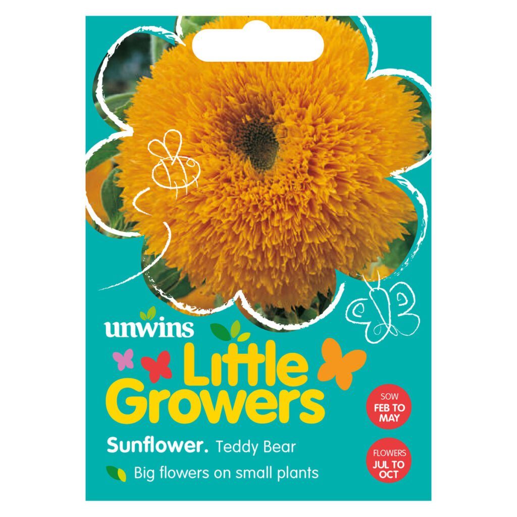 Little Growers Sunflower Teddy Bear Seeds 5051618011402 2